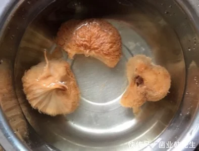 海参快速泡发方法_海参的泡发方法_猴头菇的泡发方法