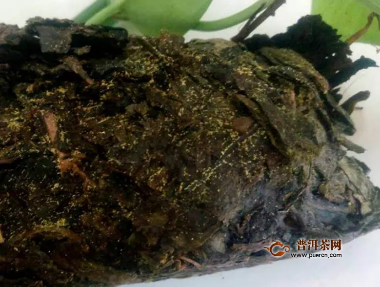 安化黑茶怎么喝？黑茶的调饮法有哪些？